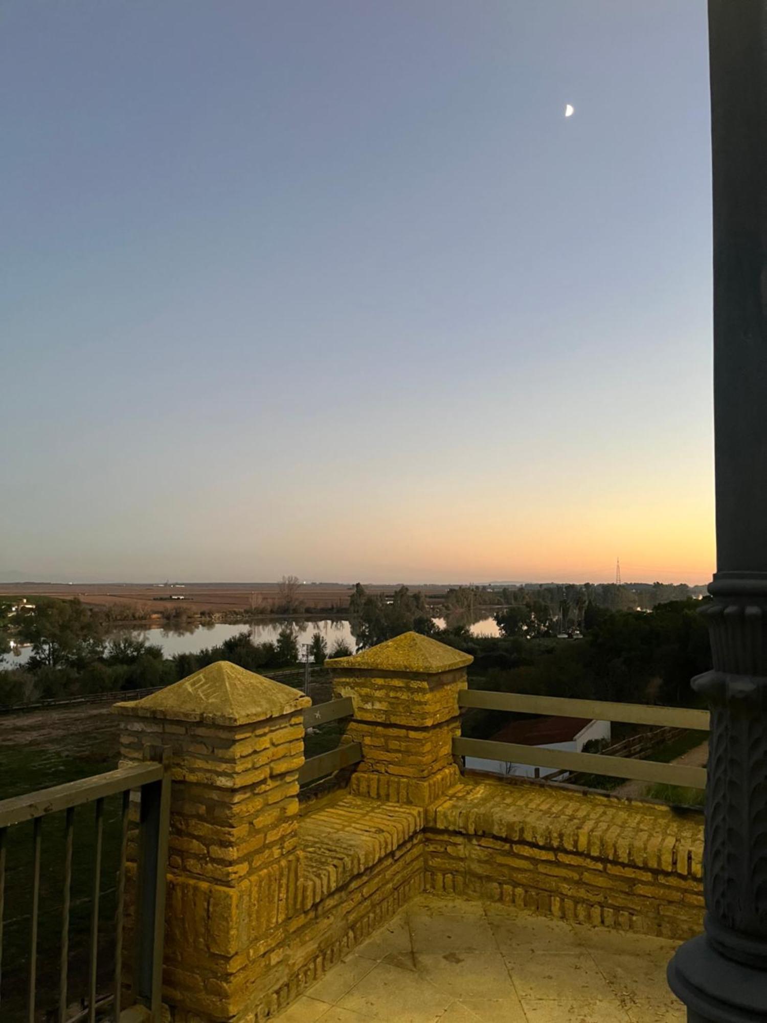 Estudio Las Palmillas Puebla del Río エクステリア 写真